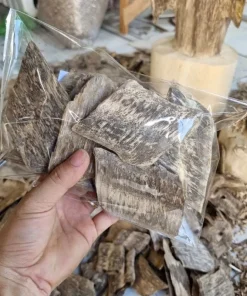 Trầm Kiến Tự Nhiên Quảng Nam – Trầm Miếng Thơm Lâu Năm