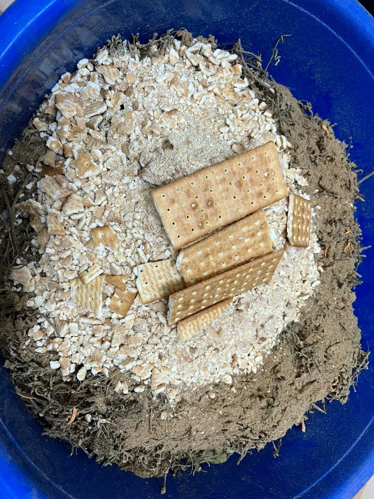 các nguyên liệu thanh tịnh như bột trầm, ngũ cốc, vừng, bơ