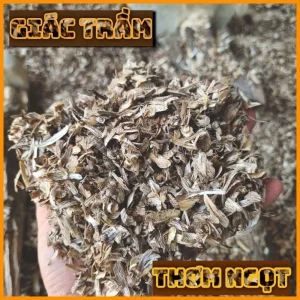 dăm trầm hương loại 1