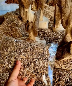 giác trầm hương loại 1