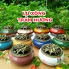 lư xông trầm hương gốm sứ đa năng