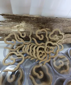 hộp nhang trầm hương vân mây
