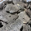 trầm miếng dùng để làm gì
